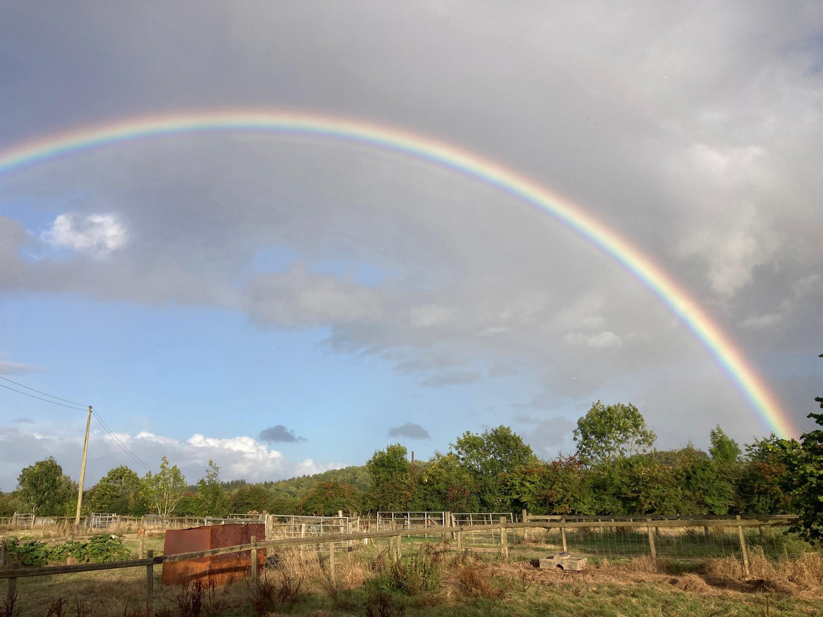 St Basils x NDF Christmas Pork Box